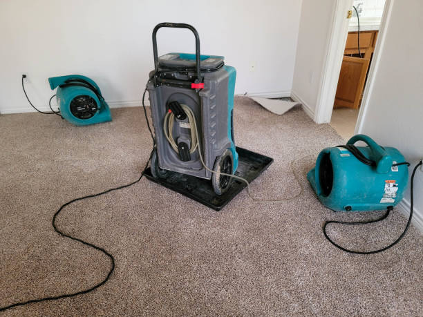 Best Water damage restoration near me  in French Lick, IN