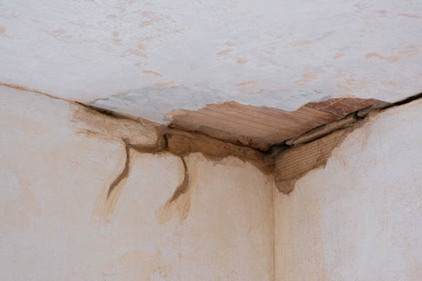  French Lick, IN Water damage restoration Pros