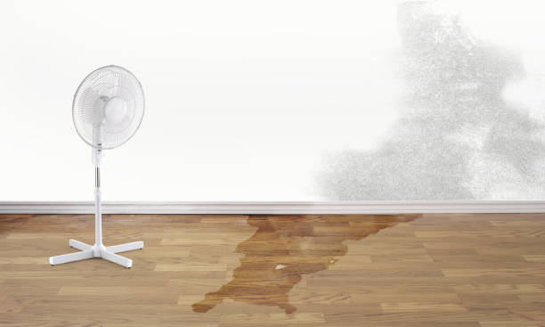 Best 24-hour water damage restoration  in French Lick, IN