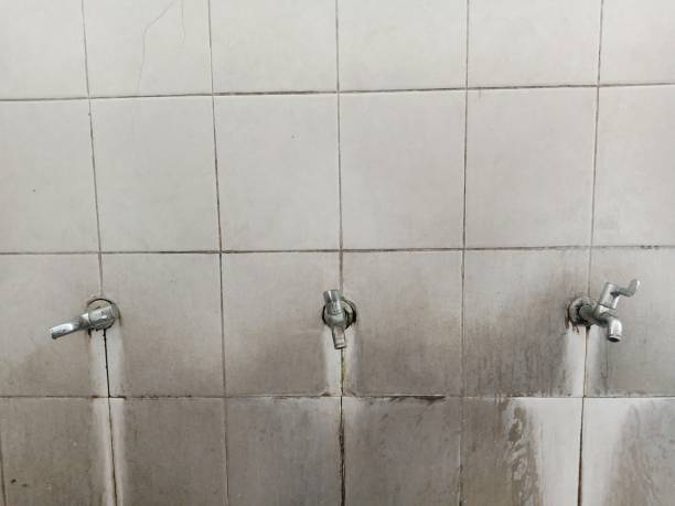 Best Fire Damage Restoration  in French Lick, IN