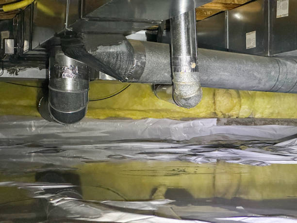 Best Sewage cleanup and water damage restoration  in French Lick, IN