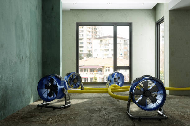 Best Emergency water damage restoration  in French Lick, IN