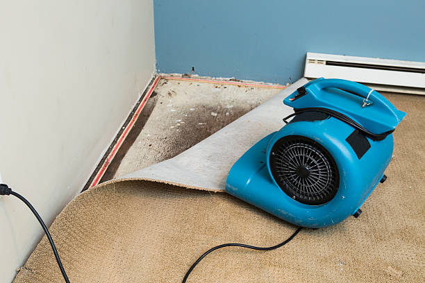 Best 24-hour water damage restoration  in French Lick, IN